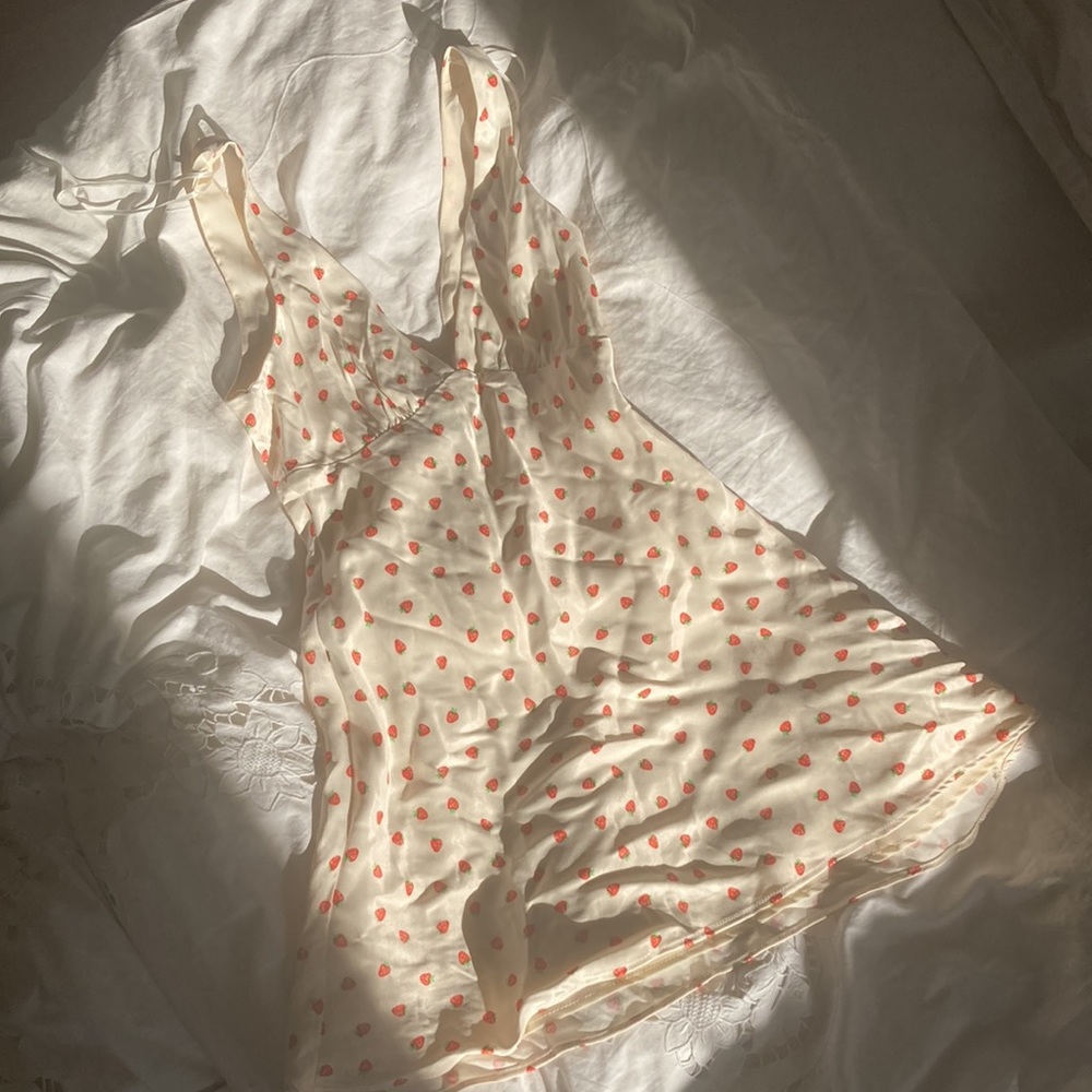 NWT ZARA strawberry printed dress